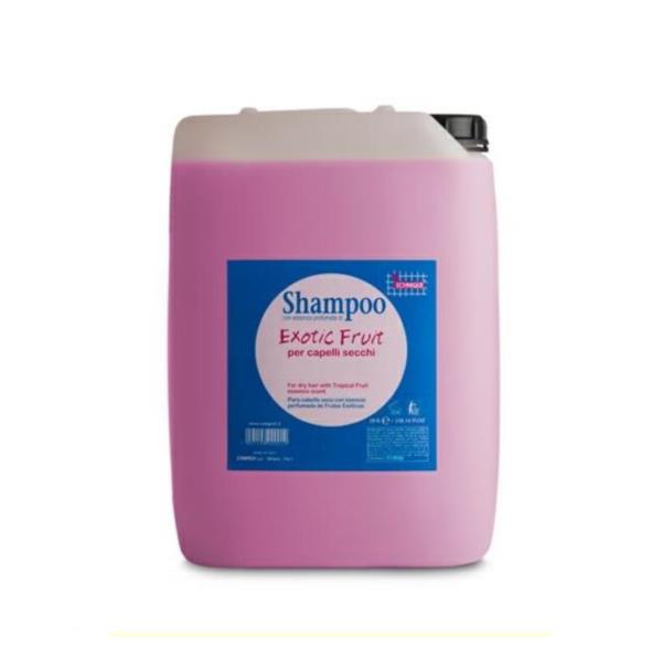 TECHNIQUE SHAMPOO EXOTIC FRUIT 10 LT