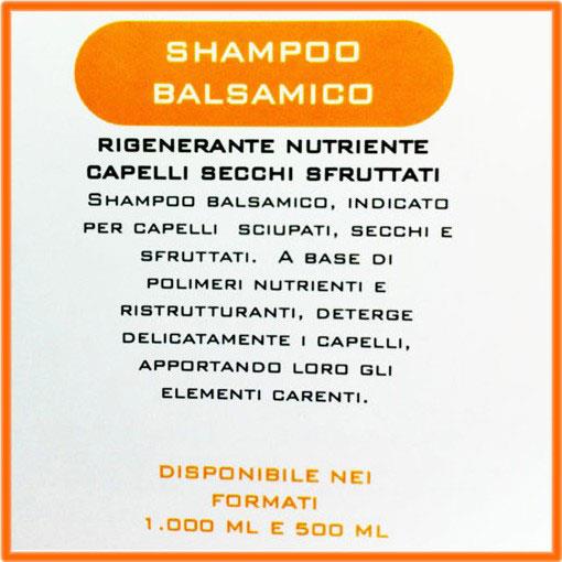 Shampoo Tekno Balsamico 1000 ml