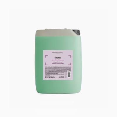 PROFESSIONAL SHAMPOO ALLA MENTA E COCO 10LT